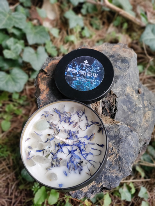 Moonflower Nectar Soy Candle
